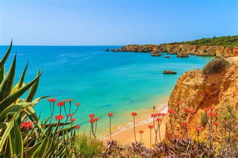 single reizen portugal|Single reizen Portugal